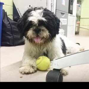 Meet your Posher, Natalie